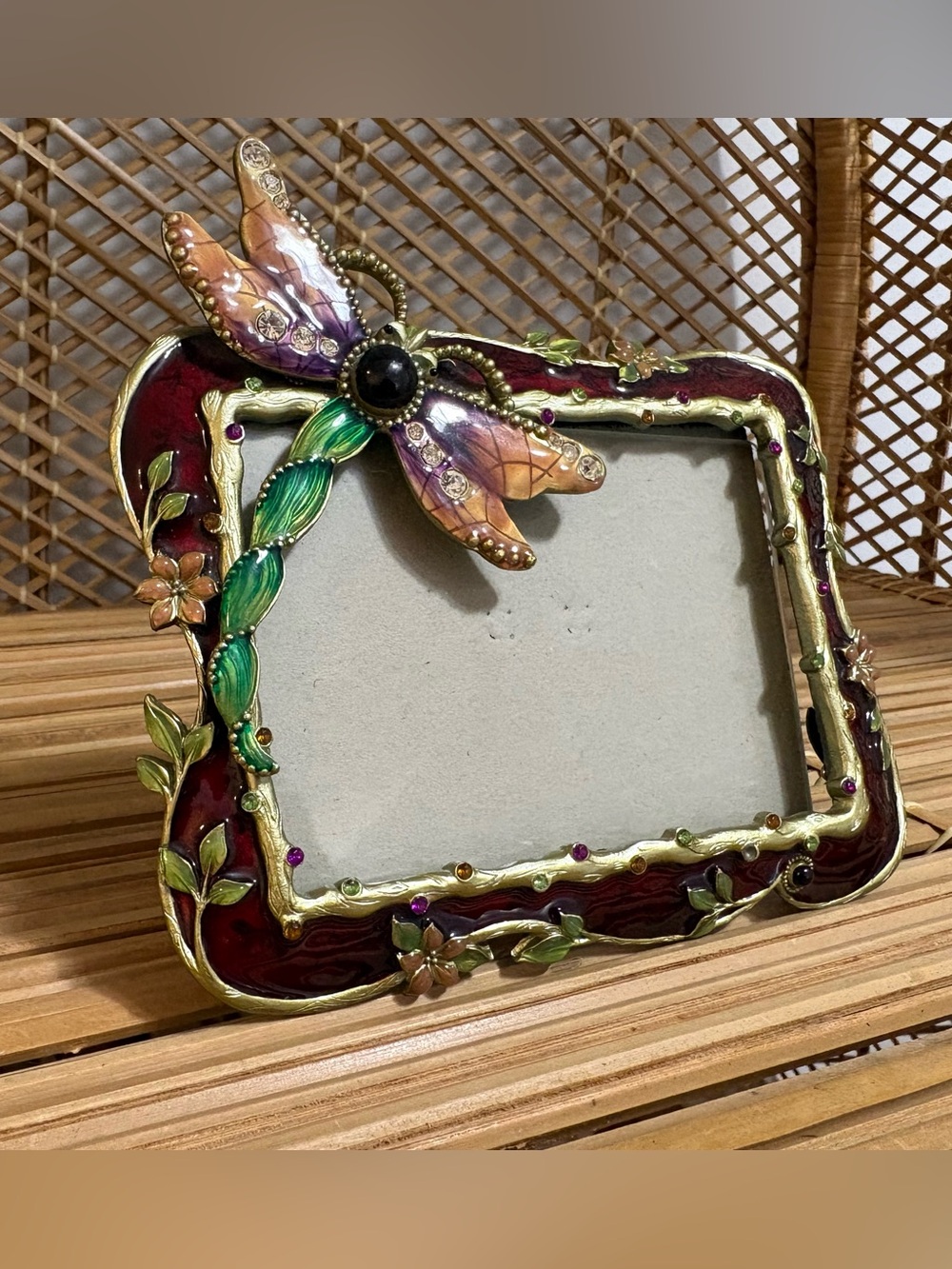 Dragonfly Enamel Picture Frame